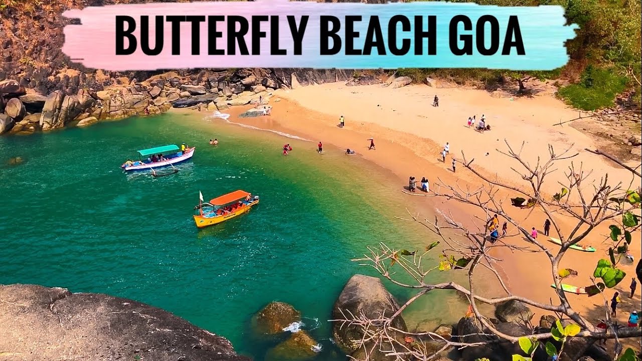 Butterfly Beach